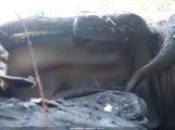 GMC Sierra 2500Hd Denali 1GT12UE83GF189111 снимка