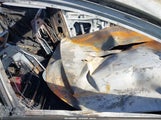 Mazda Mazda3 Premium JM1BPAML9N1511531 снимка