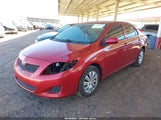Toyota Corolla Le 2T1BU4EE1AC404912 снимка