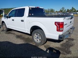 Ford F-150 Xlt 1FTEW1EGXGKD02426 снимка