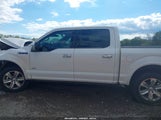 Ford F-150 Platinum 1FTEW1EG2FFC34372 снимка