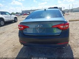 Hyundai Sonata Sport 5NPE34AF4FH248125 photo