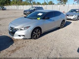 Nissan Maxima 3.5 Platinum/3.5 S/3.5 Sl/3.5 Sr/3.5 Sv 1N4AA6AP0GC402924 photo