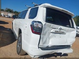 Toyota 4Runner Trd Sport JTEAU5JR2N5273823 fotografie