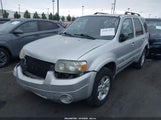 Ford Escape Hybrid 1FMCU49H07KC08231 снимка