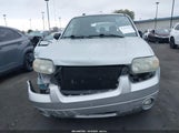 Ford Escape Hybrid 1FMCU49H07KC08231 снимка