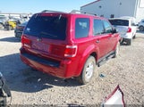 Ford Escape Xlt 1FMCU0D74CKB75400 fotografie