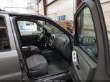 Ford Escape Xlt/Xlt Sport 1FMCU93147KB17097 photo