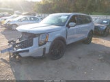 Kia Telluride Ex 5XYP3DHC3NG307546 снимка