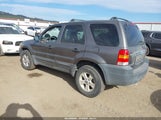 Ford Escape Xlt 1FMYU931X5KD12270 снимка