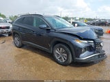 Hyundai Tucson Hybrid Blue KM8JBCA18NU081395 photo