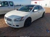 Nissan Maxima 3.5 Sv 1N4AA5AP5AC831901 снимка