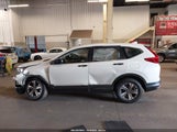 Honda Cr-V Lx 2HKRW6H37JH226693 photo