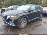 Hyundai Tucson Hybrid Blue KM8JBCD11RU223152 fotografie