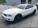 Ford Mustang V6/V6 Premium 1ZVBP8EN8A5142461 fotografie