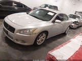 Nissan Maxima 3.5 Sv 1N4AA5AP0DC839747 снимка