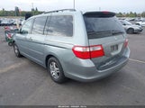 Honda Odyssey Ex-L 5FNRL38695B033449 снимка