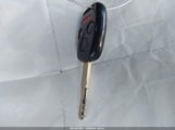 Miniaturka zdjęcia 11