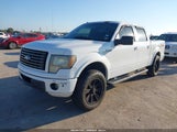 Ford F-150 Fx2 Sport/Harley-Davidson/King Ranch/Lariat/Platinum/Xl/Xlt 1FTFW1CVXAKE14446 fotografie