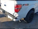 Ford F-150 Fx2 Sport/Harley-Davidson/King Ranch/Lariat/Platinum/Xl/Xlt 1FTFW1CVXAKE14446 fotografie