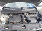 Kia Sportage Sx KNDPC3A61C7184922 снимка