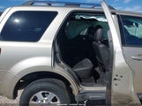 Ford Escape Limited 1FMCU0EG0AKB77737 снимка