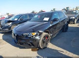 Alfa Romeo Stelvio Quadrifoglio Awd ZASPAKEV1N7D28450 photo