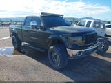 Ford F-150 Fx2/Stx/Xl/Xlt 1FTRX12W88KD18751 fotografie