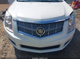 Cadillac Srx Luxury Collection 3GYFNAEY4AS613243 fotografie