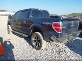 Ford F-150 Xlt 1FTFW1ET2DKG08761 снимка