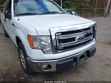 Ford F-150 Xlt 1FTEX1CM1EFA99244 снимка