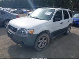 Ford Escape Xlt 1FMYU93195KA89087 снимка