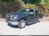 Ford F-150 Xlt 1FTEW1E86AFA73414 снимка