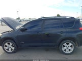 Toyota Rav4 Sport JTMZD32V876040436 fotografie