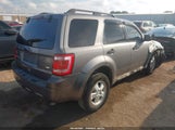Ford Escape Xlt 1FMCU0DG3BKA07679 fotografie
