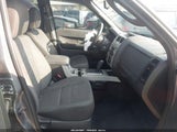Ford Escape Xlt 1FMCU0DG3BKA07679 fotografie
