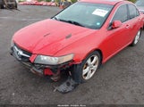 Acura Tsx JH4CL96864C025736 снимка