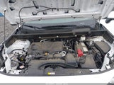 Toyota Rav4 Xle 2T3W1RFV1PW254479 photo