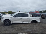 Ford F-150 Platinum 1FTEW1EG2GFA03926 снимка