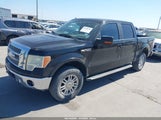 Ford F-150 Fx4/King Ranch/Lariat/Platinum/Xl/Xlt 1FTPW14V99KC54431 снимка