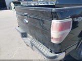 Ford F-150 Fx4/King Ranch/Lariat/Platinum/Xl/Xlt 1FTPW14V99KC54431 снимка