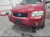 Ford Escape Limited 1FMYU94175KC52348 снимка