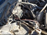 Ford F-150 Xl/Xlt 1FTRF18293NB61407 photo