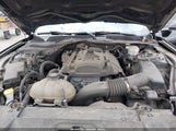 Ford Mustang Ecoboost 1FA6P8TH5K5203533 снимка