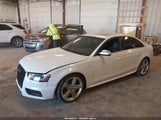 Miniaturka zdjęcia 2