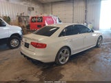 Miniaturka zdjęcia 4