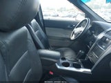 Miniaturka zdjęcia 5