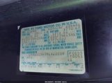 Ford Bronco U100 1FMEU15H7KLA22038 снимка