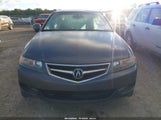 Acura Tsx JH4CL96926C019413 снимка
