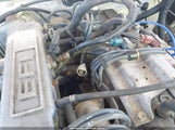 Toyota Pickup 1/2 Ton Ex Lng Whlbse Dlx JT4RN93P5L5024954 fotografie